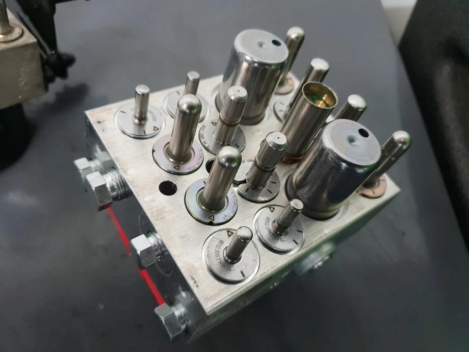 Electric stability program (ESP) light